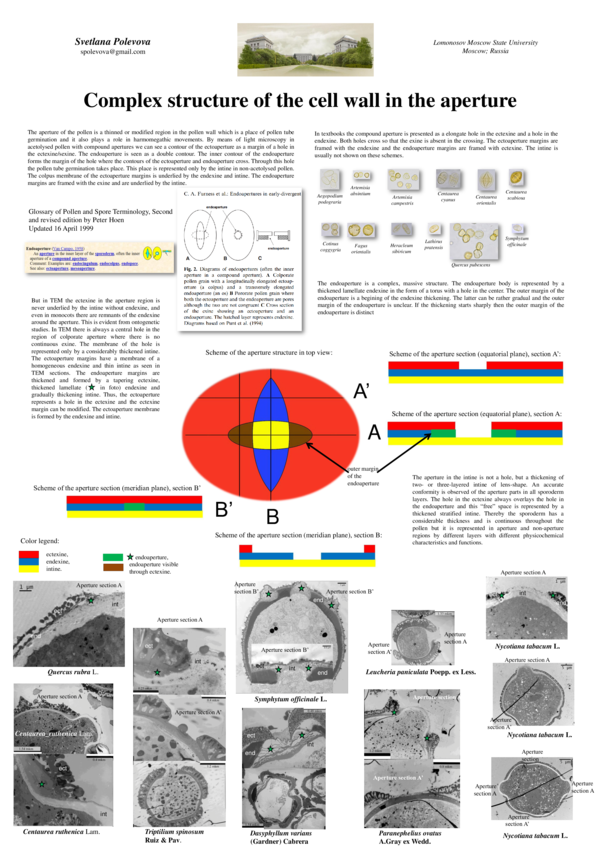 (PDF) Complex structure of the cell wall in the aperture