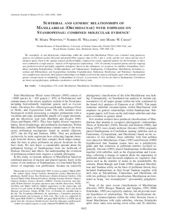 (PDF) SUBTRIBAL AND GENERIC RELATIONSHIPS OF MAXILLARIEAE (ORCHIDACEAE ...