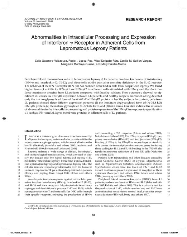 Leprosy treatment guidelines image