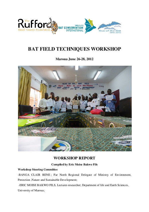 (PDF) Workshop report (Year of the Bat)