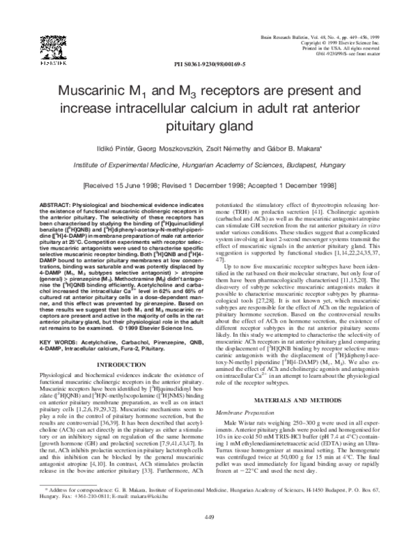 Pituitary gland tumor image