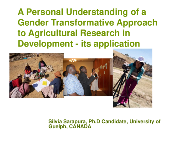 (PDF) A Personal Understanding of a Gender Transformative Approach to ...