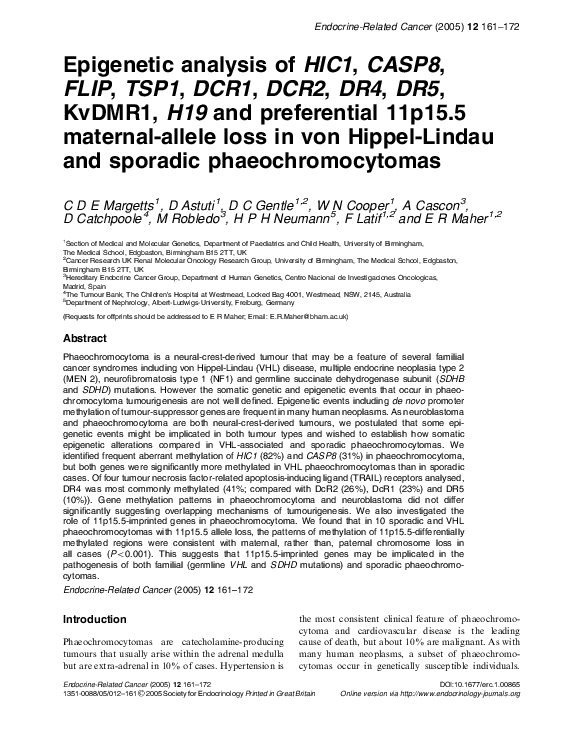 Epigenetics for dummies image