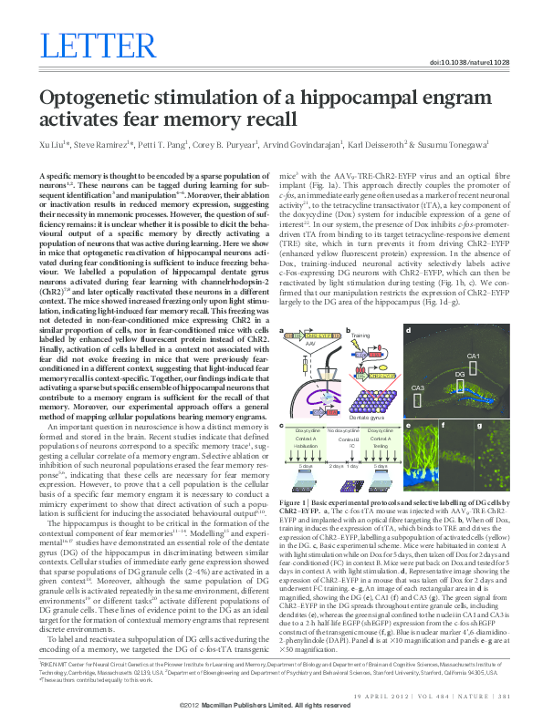 (PDF) Optogenetic stimulation of a hippocampal engram activates fear ...
