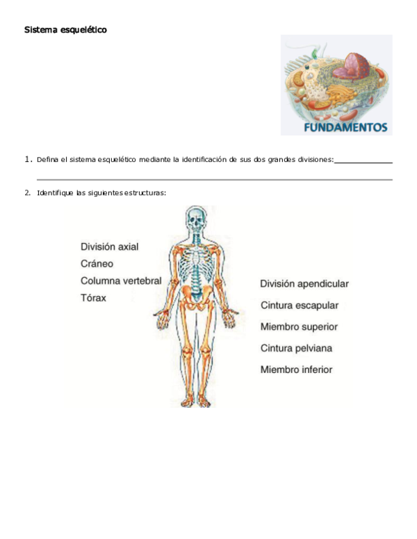 (PDF) Communication, Regulation, and Homeostasis Cinthy Jacobo