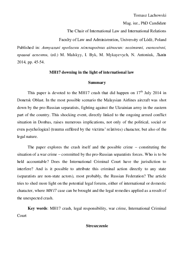 Mh17 essay examples 05 picture