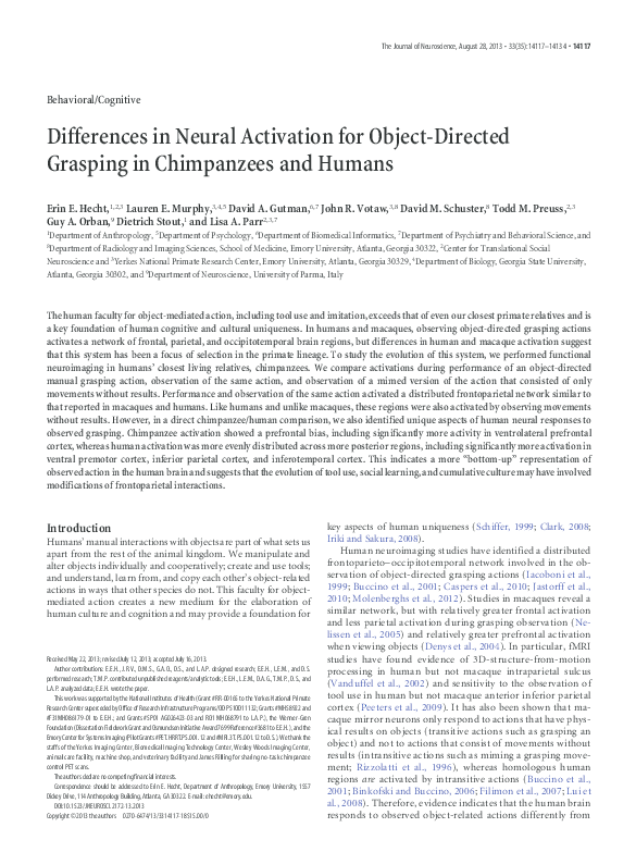 (PDF) 2013-Hecht_Differences in neural activation for object-directed ...