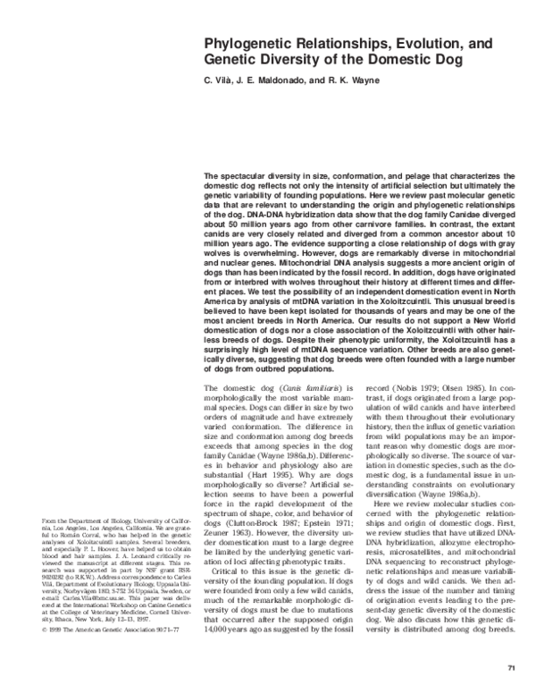 Puppy mill horror stories picture