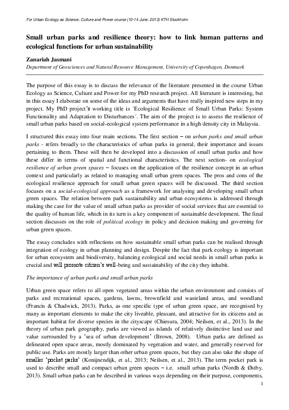 Resilience in nursing essay image