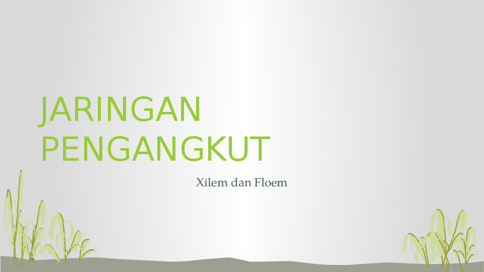 (PPT) Jaringan Pengangkut