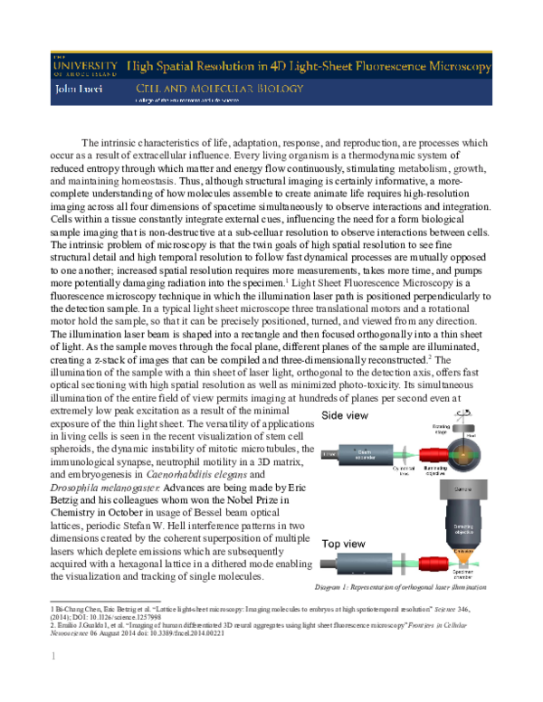 (PDF) High Spatial Resolution in 4D Light Sheet Fluorescence Microscopy