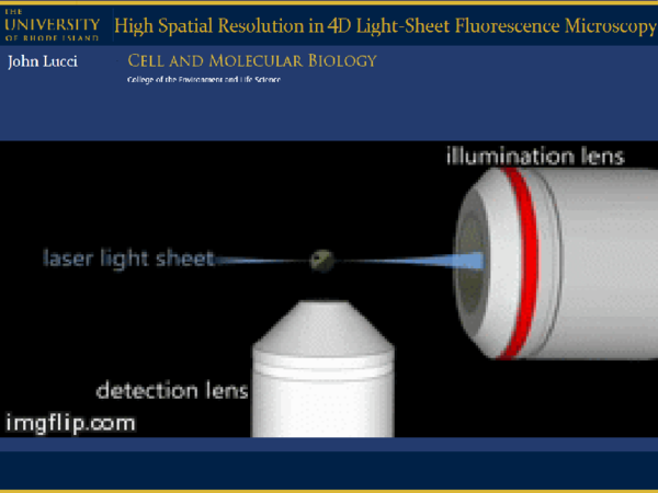 (PPT) High Spatial Resolution in 4D Light Sheet Fluorescence Microscopy ...