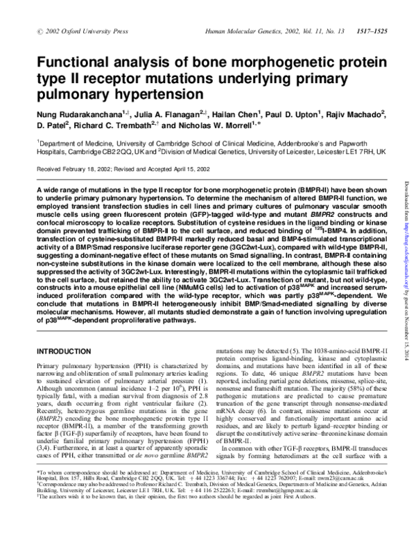 (PDF) Functional analysis of bone morphogenetic protein type II ...