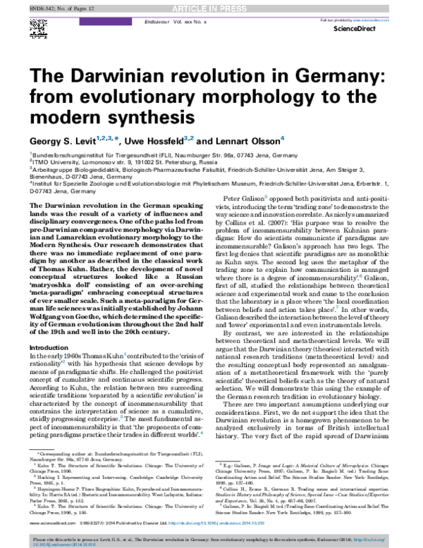 Examples of synthesis in writing image