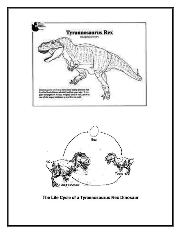 (DOC) Animal life cycle Rafael Nico Balasoto Academia.edu