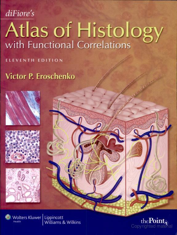 (PDF) Copy of di Fiores Atlas of Histology with Functional Correlations PDF