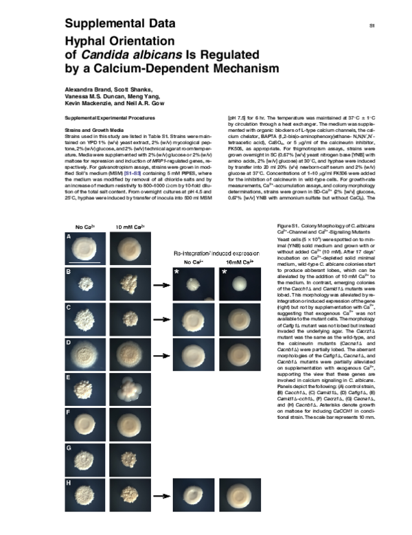 (PDF) Hyphal Orientation of Candida albicans Is Regulated by a Calcium ...