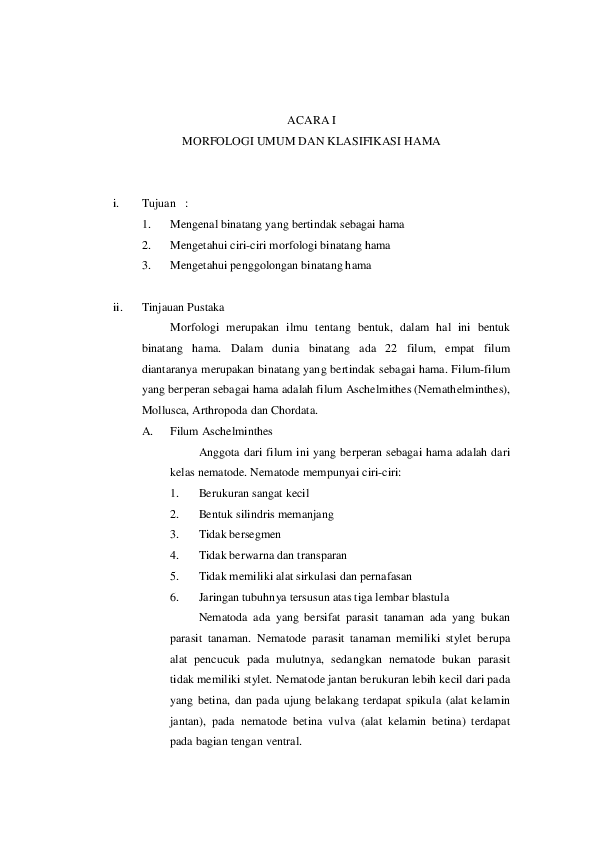 42 Gambar Sketsa Hewan Tupai HD Terbaik