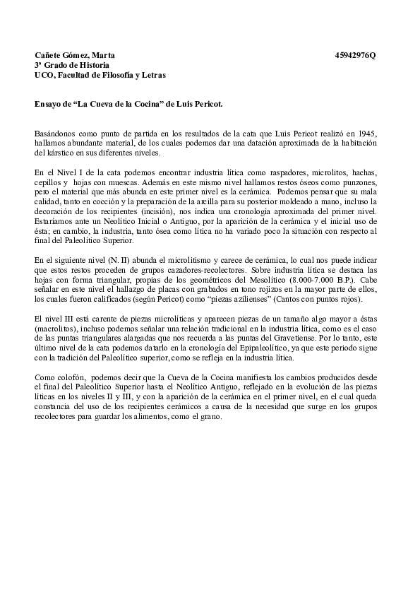 (DOC) ENSAYO DE LA CUEVA DE LA COCINA