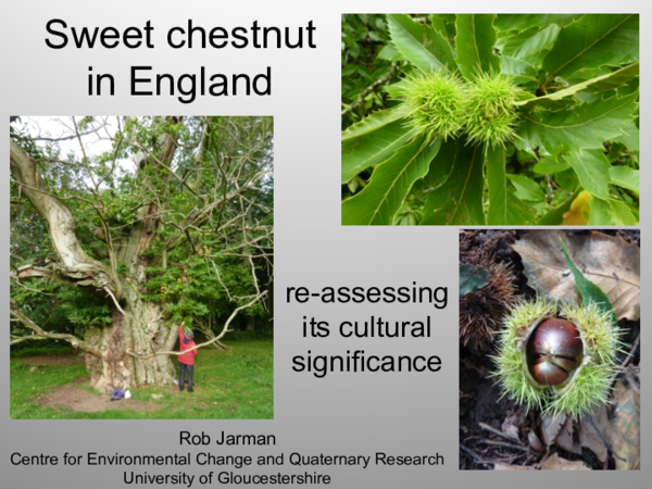 (PDF) Sweet Chestnut in England - reassessing its cultural significance