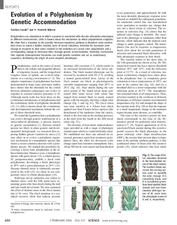 (PDF) Evolution of a Polyphenism by Genetic Accommodation