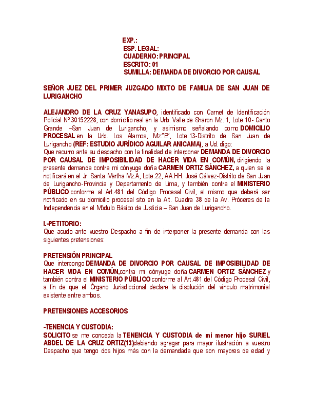 (DOC) SEÑOR JUEZ DEL PRIMER JUZGADO MIXTO DE FAMILIA DE SAN JUAN DE LURIGANCHO Gerardo Tyki D