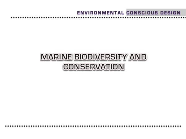 (PDF) Marine biodiversity and conservation