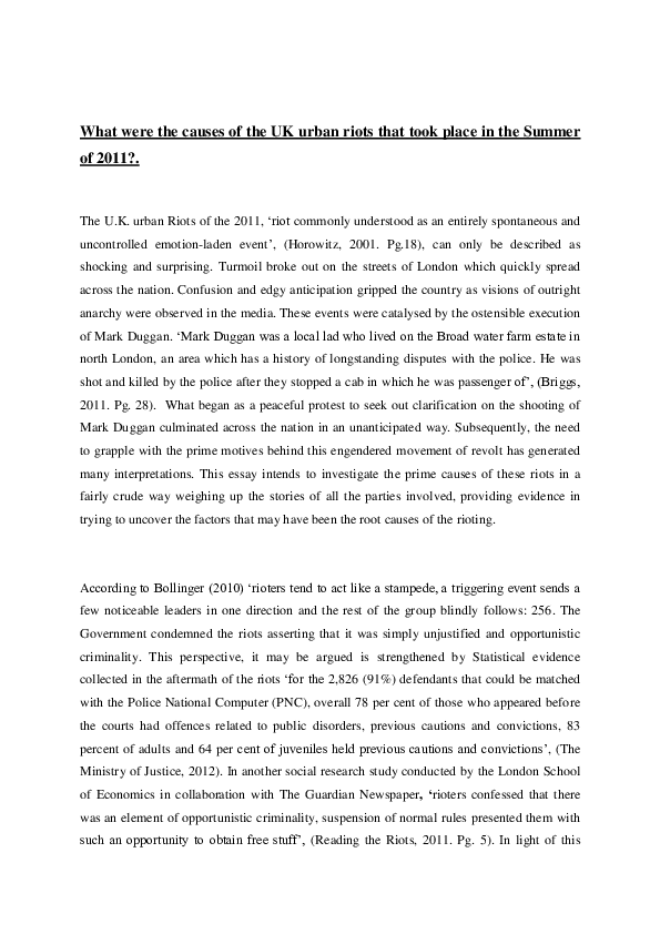 Riot meaning picture