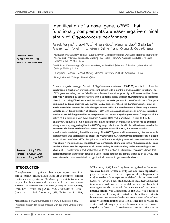 Urease essay 2 03 image