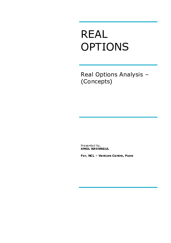 Real options essay 08 image