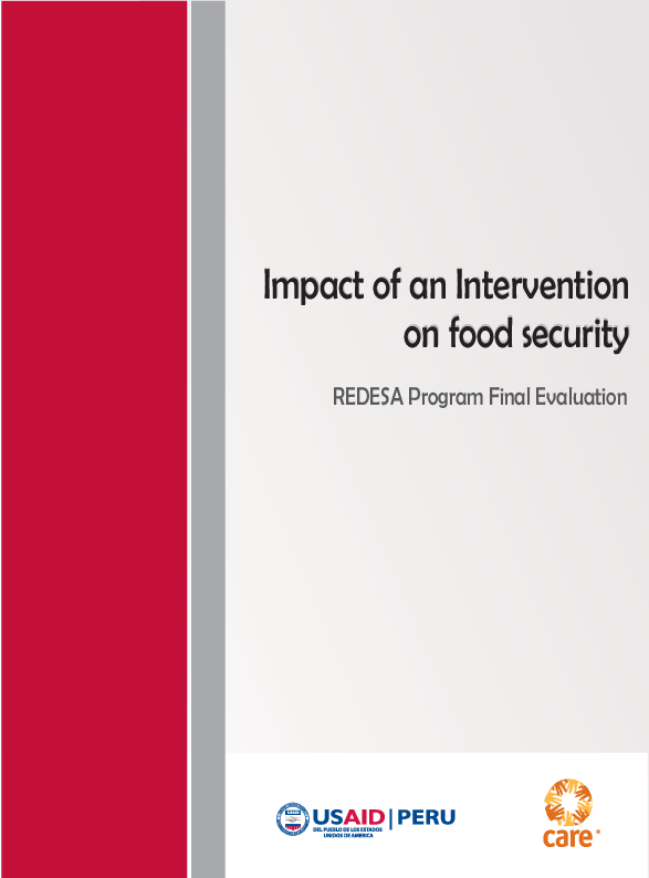 (PDF) Impact of an Intervention on Food Security. REDESA Program Final ...