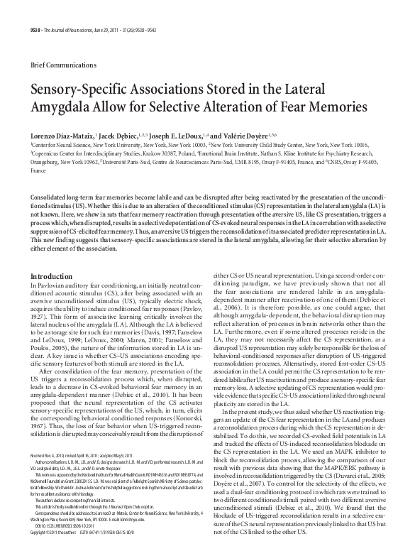 (PDF) Sensory-specific associations stored in the lateral amygdala ...