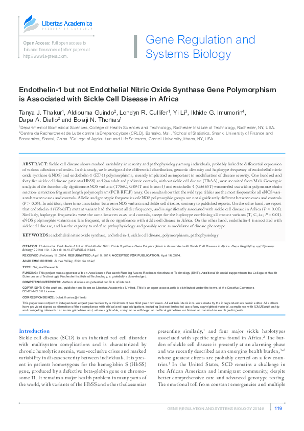 Endothelin essay 06 image