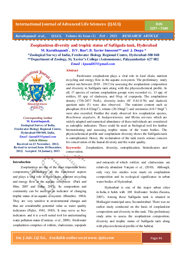 What is phytoplankton image