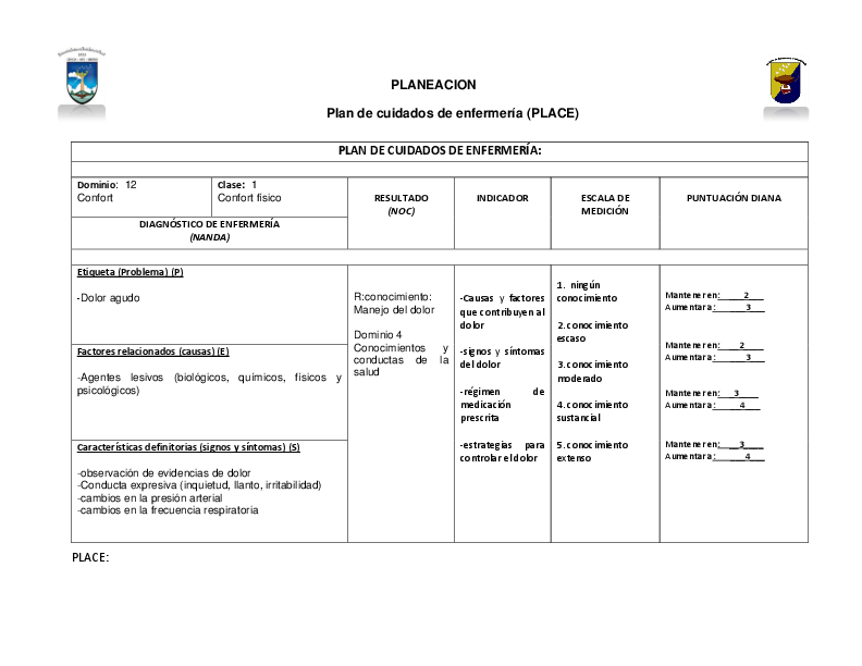 (DOC) Place de dolor agudo