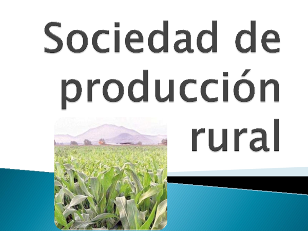 (PPT) Saciedad de produccion rural