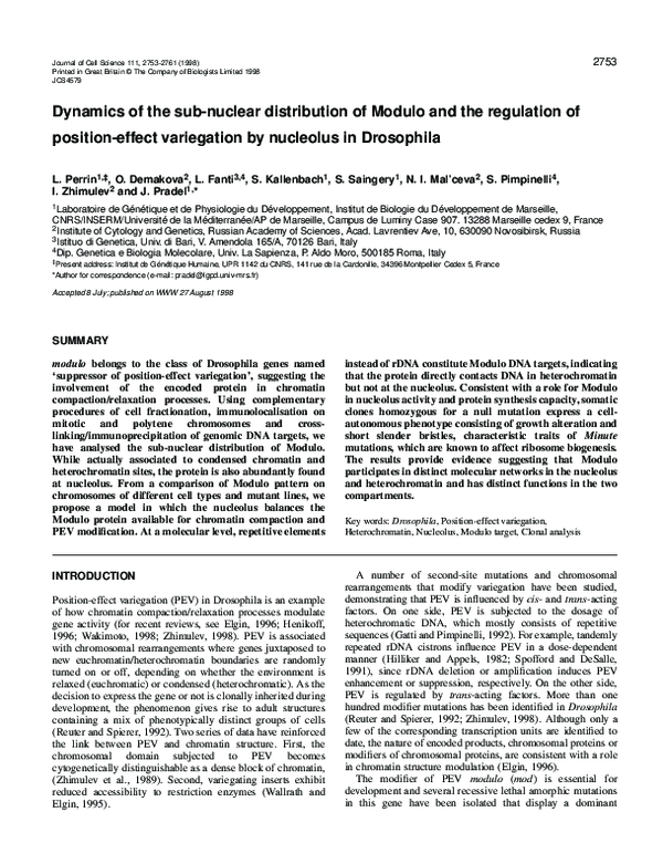 (PDF) Dynamics of the sub-nuclear distribution of Modulo and the ...