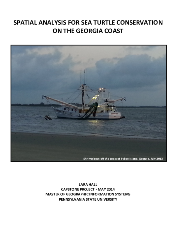 (PDF) SPATIAL ANALYSIS FOR SEA TURTLE CONSERVATION ON THE GEORGIA COAST ...