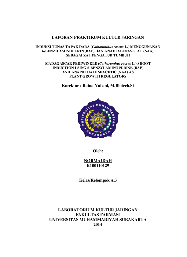  PDF INDUKSI TUNAS TAPAK DARA Catharanthus Roseus L MENGGUNAKAN 6