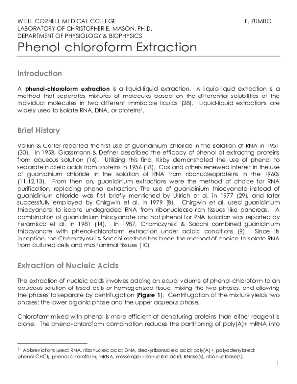extraction adn phenol chloroforme protocole