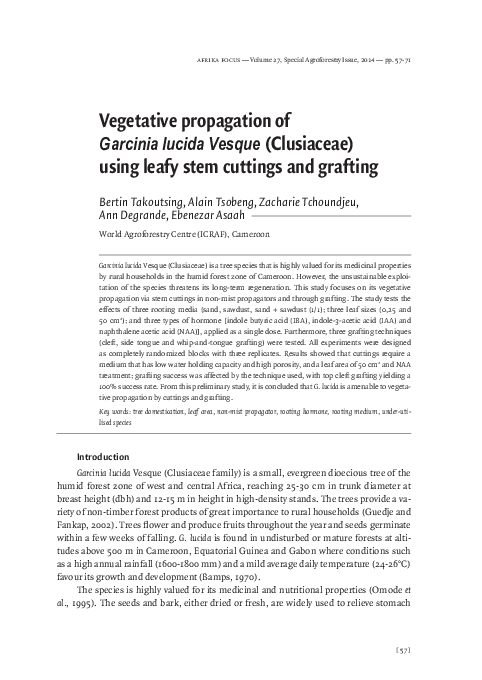 Bulb vegetative propagation picture