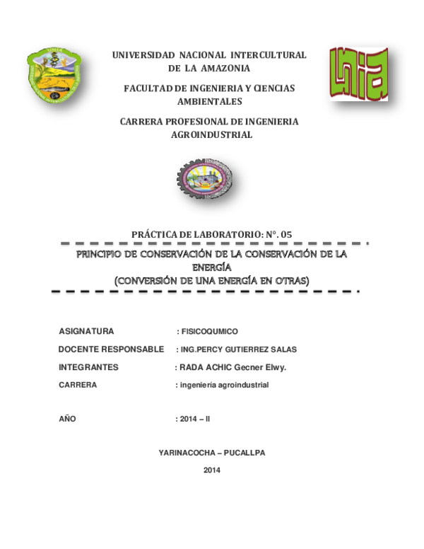 (DOC) UNIVERSIDAD NACIONAL INTERCULTURAL DE LA AMAZONIA