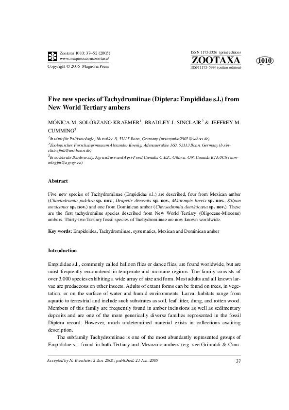 (PDF) Five new species of Tachydromiinae (Diptera: Empididae s.l.) from ...