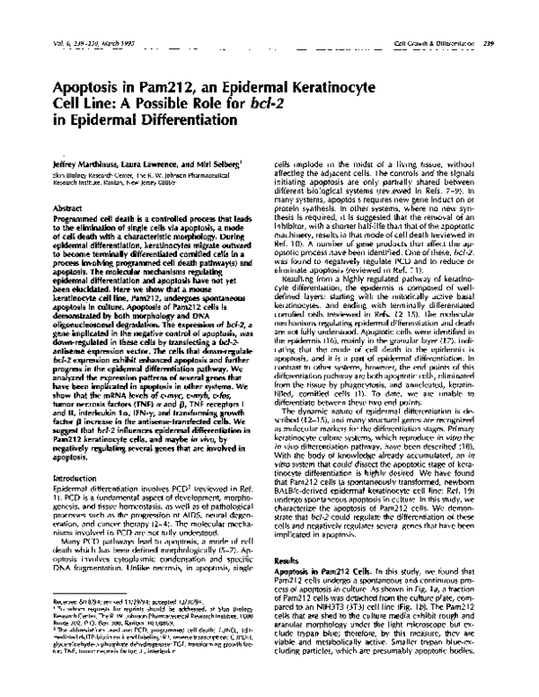 (PDF) Apoptosis in Pam2l 2, an Epidermal Keratinocyte Cell Line: A ...