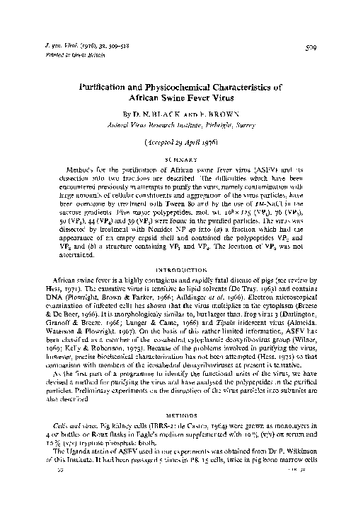 Questions about african swine fever picture