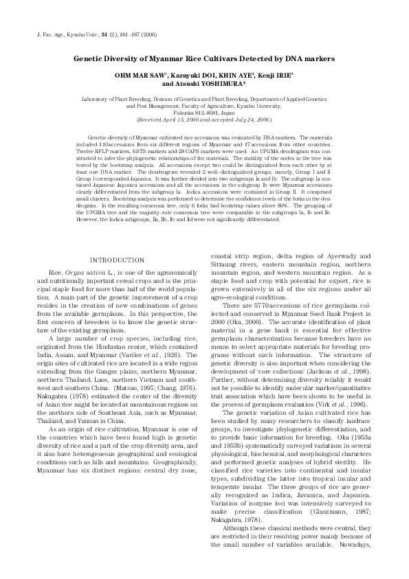 Rice essay examples image