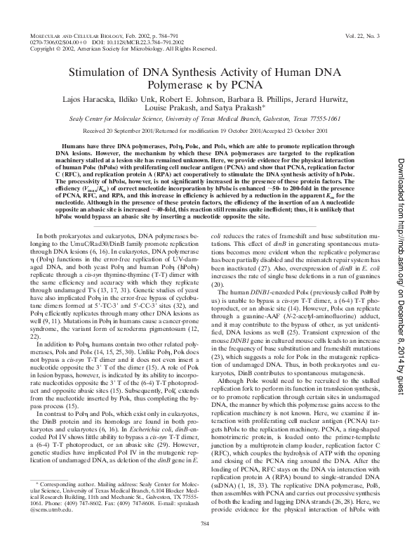 (PDF) Stimulation of DNA Synthesis Activity of Human DNA Polymerase by PCNA