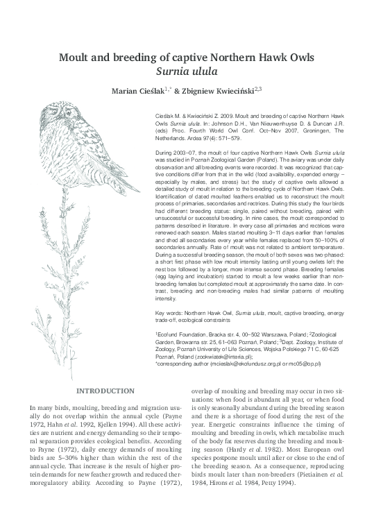 Molting chicken picture