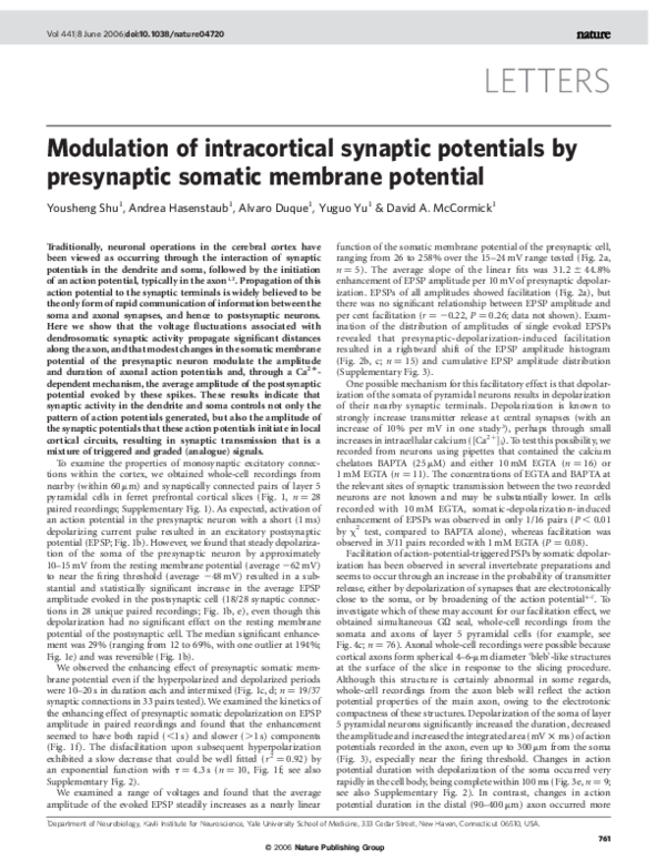 (PDF) Modulation of intracortical synaptic potentials by presynaptic ...