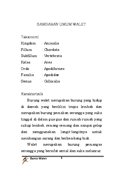 dunia walet idan sr